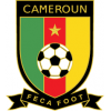 Cameroun VM 2022 Mænd