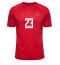 Danmark Pierre-Emile Hojbjerg #23 Hjemmebanetrøje VM 2022 Kortærmet