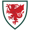 Wales VM 2022 Mænd